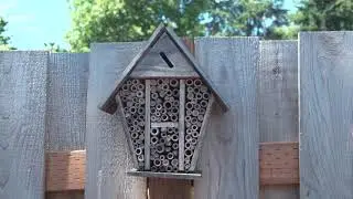 Backyard Habitat Certification Program