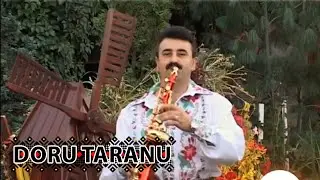 Doru Taranu - Doiuri din Caras