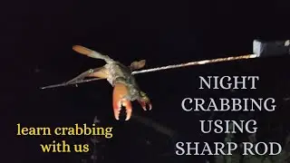 NIGHT CRAB HUNTING USING SHARP ROD. LEARN CRABBING WITH US. BEST CRAB FISHING IN KERALA.