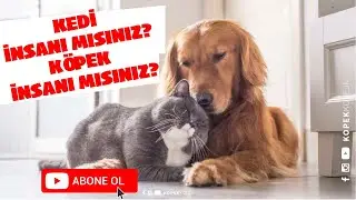 Kedi İnsanı mısınız, Köpek İnsanı mı?