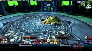 World of Warcraft, Level 90 Fury Warrior Solo: Rotface 10N