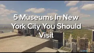 5 Museums In New York City You Should Visit