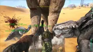 ARK Stream highlights 9 22