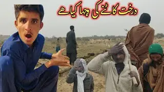 darakht  kaatne ki kya vajah ho sakti hai!!