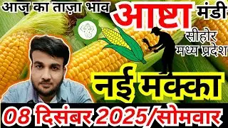 🌽नई मक्का मंडी भाव आज | 08 दिसम्बर 2025 | Ashta Mandi Maize Rate Today | संदीप नागर