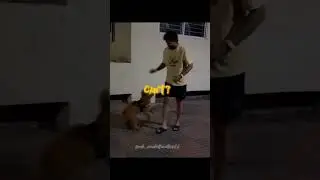|Nitish Kumar Reddy| |Cricket edits| #cricket #youtubeshorts #cricketlover #ipl #nitishkumar #fyp