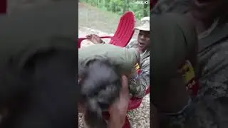 Teanna Trump get *SPEED* 🧱'd UP 🤣🤣 #shorts