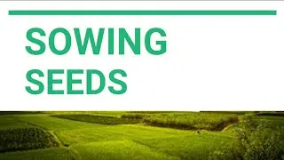 Sowing Seeds || Kingdom Life Ministries || Min. Rawle Ramdhanie