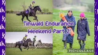 Tinwald Endurance Weekend - Part 2 - Sia the Welsh pony - Scottish Endurance Riding Club!
