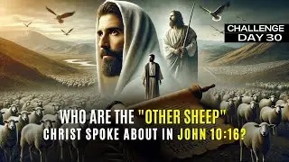 Who Are the 