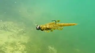 Nature Series Flutter Nymph - Best Lure for Bass Fishing?