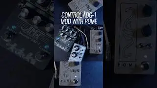 Dynamic expression control with POME