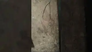 nikrome wire