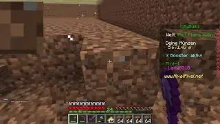 Gechillt auf MixelPixel spielen | Minecraft