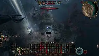Shadow Mastiffs: BG3 Solo Honor Mode Spore Druid