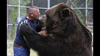 Shocking Bear Encounters Caught on Camera