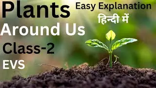 PLANTS AROUND US | CLASS 2 | EVS | CBSE-NCERT | EASY EXPLANATION IN HINDI