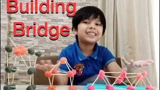 STEM | How to BUILD a BRIDGE using sticks & play dough? | Science Projects | Homeschool | Liam TeeV