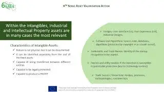 6SAVA 1.1 IP protection strategy &ndash; Protection of technological assets