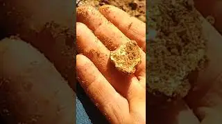 Achamos ouro puro nesse lugar isolado! #expedi&ccedil;&otilde;es #aventuras #detectorismo #detectordemetal
