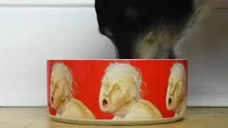 Trump in Hell Alpha-Pet Bowl
