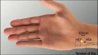 🧘&zwj;♀️ HEART MERIDIAN&ndash;KEY ACUPRESSURE POINTS.  ❤️ CORE HEART POINTS