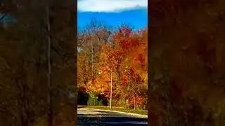 beautiful nature in Canada so nice 👌👌🍁🍁