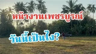 สวัสดีตอนเช้า!หน้างานวันนี้ที่เพชรบูรณ์เป็นไง