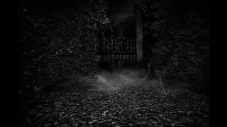 Burnt Dreams that was lost behind Tree's