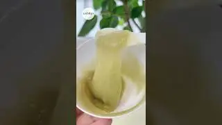 🌊🌿Get Your Skin Summer-Ready with DERMABELL's Seaweeds Hydro Jelly Modeling Mask🧖&zwj;♀️🌞 | Ushops.com