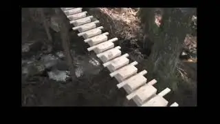 creative adaptation