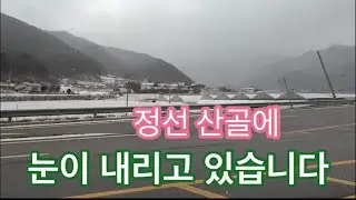 정선산골에 눈내리는 겨울날 여기저기 돌아다니는 산골브런치