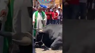 Hasta el Torito se deja bendecir