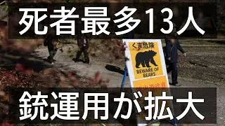 Record Bear Attack Deaths Push Japan to Rethink Its Response