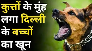 Save Kids From Dog Attack : डॉग अटैक से बच्चों को बचाओ! | AAP Vs BJP | Delhi Dog Attack | Delhi News