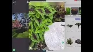 How to create your own products in iScape