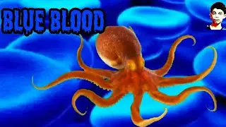Why Octopus blood colour is blue?