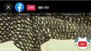 Artificial Intelligence Supported Facebook View Bot
