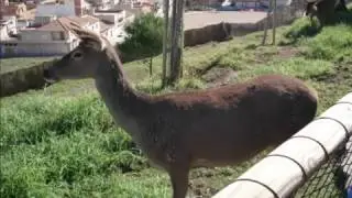 Ejercicio alumos de pl&aacute;stica