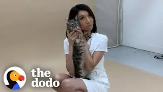 Cat Dumped For Being 'Aggressive' Transforms Into A Lovebug | The Dodo