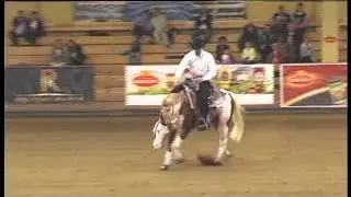 Wimpys Smoking Gun and Guglielmo Fontana