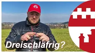 (K)eine sch&ouml;ne Aussicht: Das Ortenburger Hochgericht