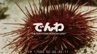 Yespho - The pear phone from I am Carly (feat. cumulus frisbee)