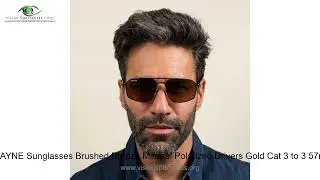 Serengeti WAYNE Sunglasses Brushed Bronze Mineral Polarized Drivers Gold Cat 3 to 3 57mm   6 0 0 4
