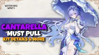 UPDATE!! NEW HAVOC SUPPORT CANTARELLA KIT DETAILS & MORE - WUTHERING WAVES