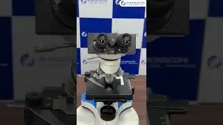 binocular  Microscope  SM05