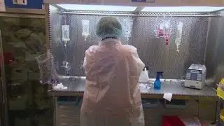 What is a clinical trial?