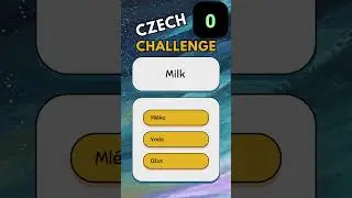 Czech Language Quiz 14