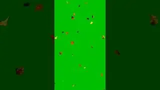 leaves spread down Green Screen Effect Video