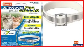 Quality product -  Hartz UltraGuard Pro Flea & Tick Collar for Cats and Kittens